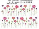 Carnation & Chinese Bell Flower カーネイション キキョウ 9001