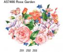 Rose Garden　　A57466