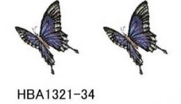 Butterfly　Angel　　HB1321