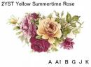 yellow　Summertime　Rose