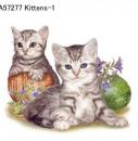 Kittens  Mot1  A57277