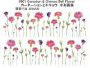 Carnation　&　Chinese Bell Flower　　カーネイション　キキョウ　9001