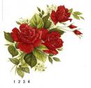 Red Rose　　2。Stock