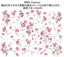 Cosmos　　9044