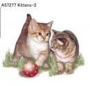 Kittens  Mot2
