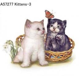 Kittens  Mot3