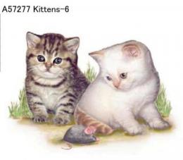 Kittens  Mot6