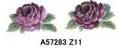 Rose　Classic　Purple　Z11