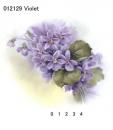 Violet　　012129