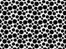 Polka Dots　3サイズMix  Black  84059