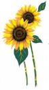 JM　Glass Decal Sunflowers　　12375