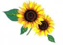 Glass Decal Sunflowers　　12375