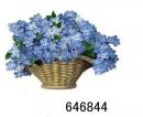 Forget-Me-Not　　12334