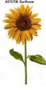 Sunflower  A57270E