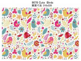 Cute Birds   9078