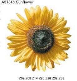 Sunflower　　A57345