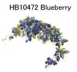 Blueberry　　HB10472