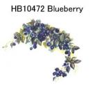 Blueberry　　HB10472