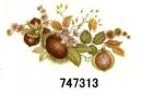 JM　Nut　 Harvest　　12351