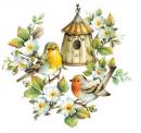  Bird House & Birds