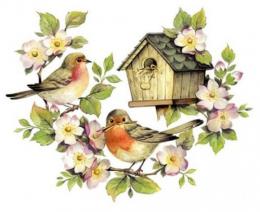 Bird House　&　Birds