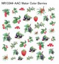Water Color Berries