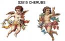 Cherubs　A+B　S2815