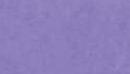 カラーシート　紫　