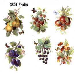 Fruits　6柄セット