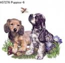 Puppies　Mot6