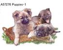 Puppies  Mot1