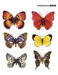 Butterflies  6P