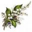 LILLY OF THE VALLEY. 6333