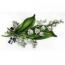 LILLY OF THE VALLEY.  6333