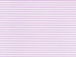 ストライプ　　2mm/3mm  パープル