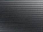 ストライプ　　2mm/3mm　ブラック