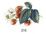 ガラス用　　Strawberry