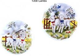 Lambs    ラム  ラウンド2種セット