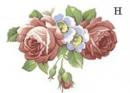 Rosalind　H　3こ