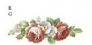 Rosalind　E/G