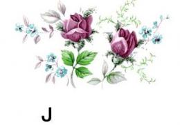 Dubarry　J　3こ