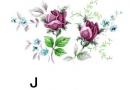 Dubarry　J　3こ
