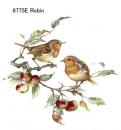 Robin  6775E