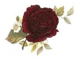Special Occasion  J/K