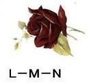 Special Occasion L/M/N