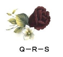 Special Occasion P/Q/R/S