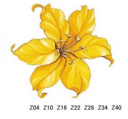 Lilly