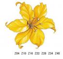 Lilly