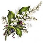 LILLY OF THE VALLEY. 6333