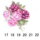 Desiree Spray　17/18/19/20/21/22